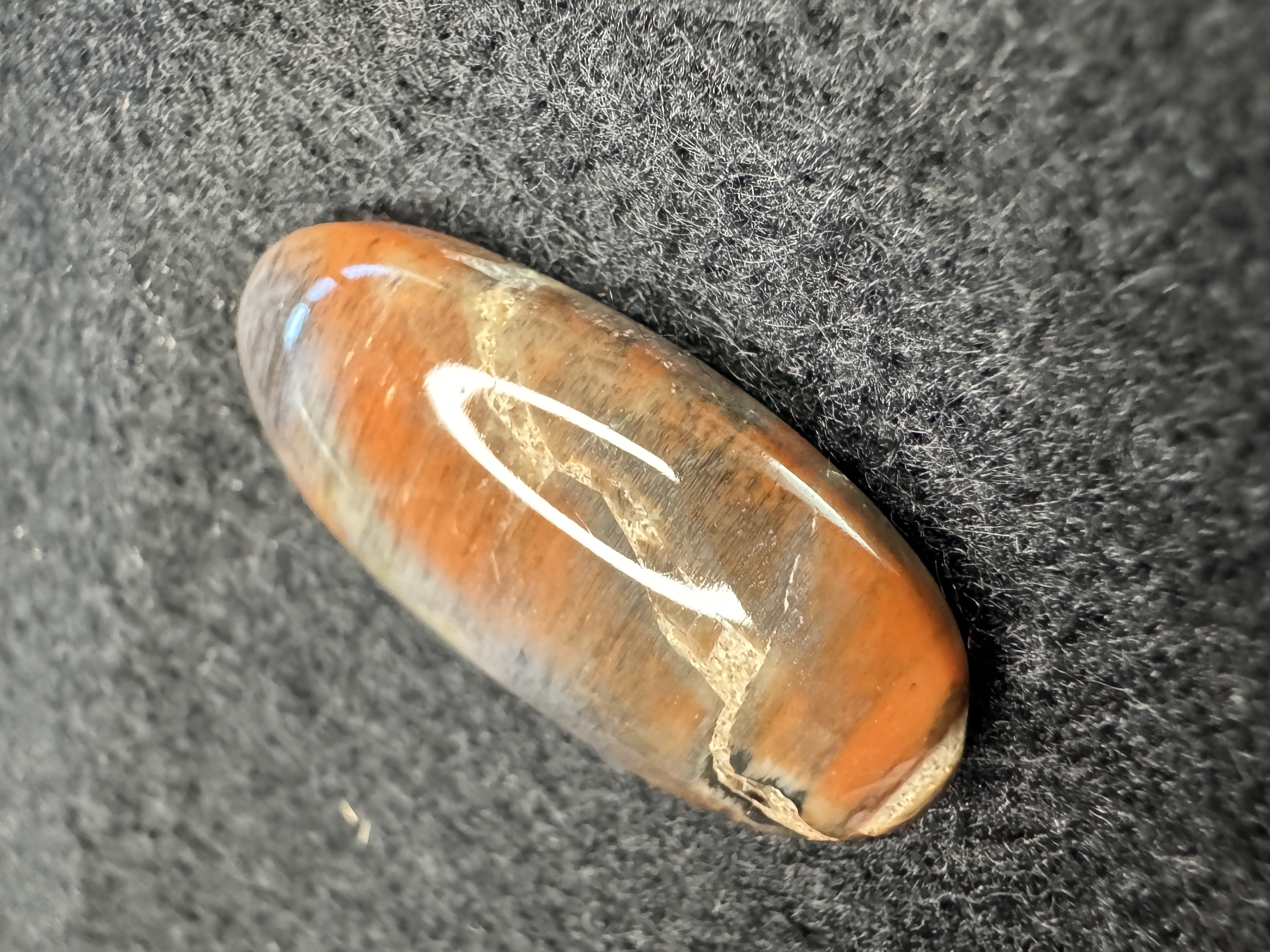 Oval shaped colorful petrified wood cabochon with natural earthy tones. Perfect for jewelry making and collectors.