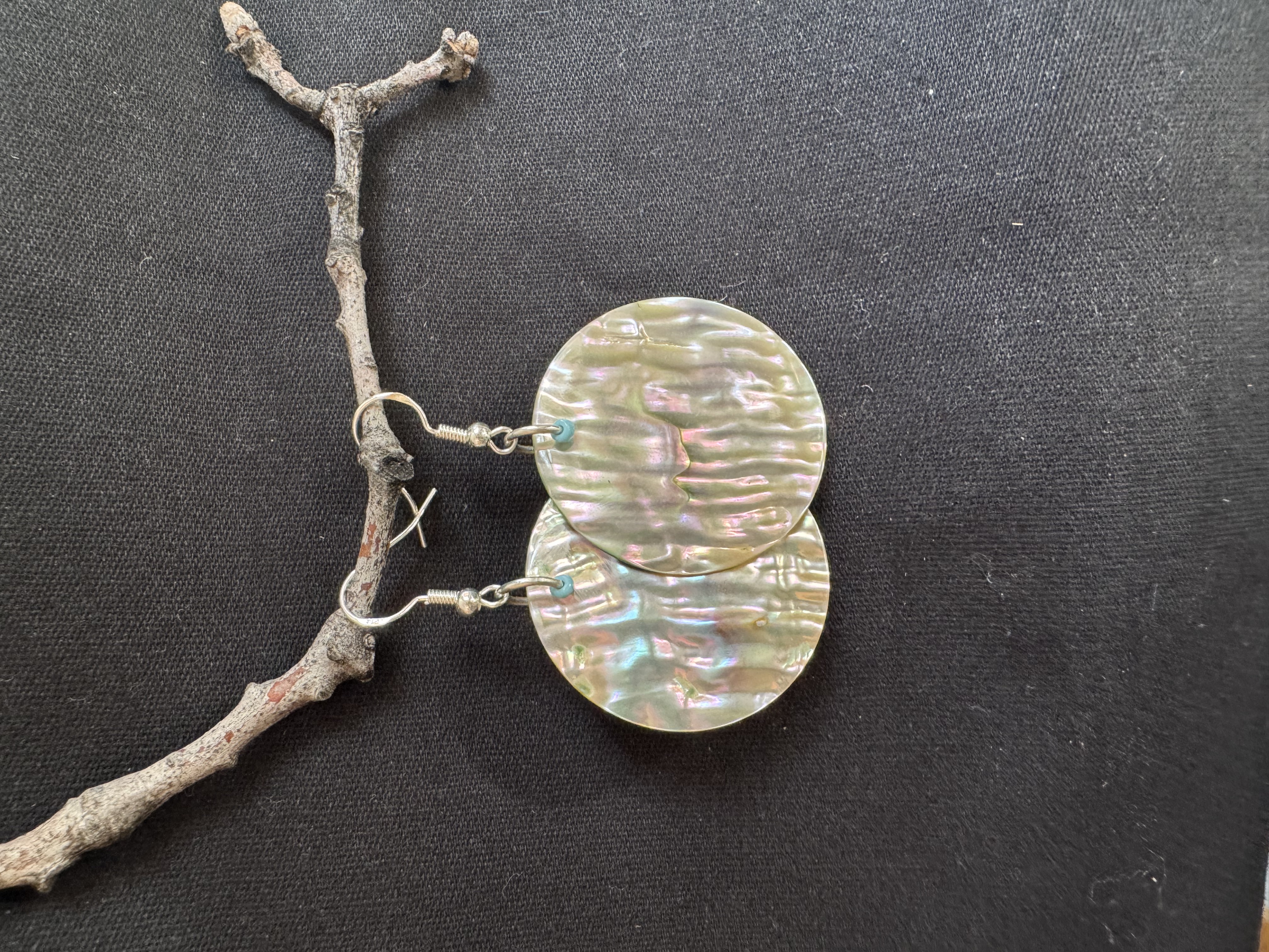 Abalone disk earrings thumbnail view 4