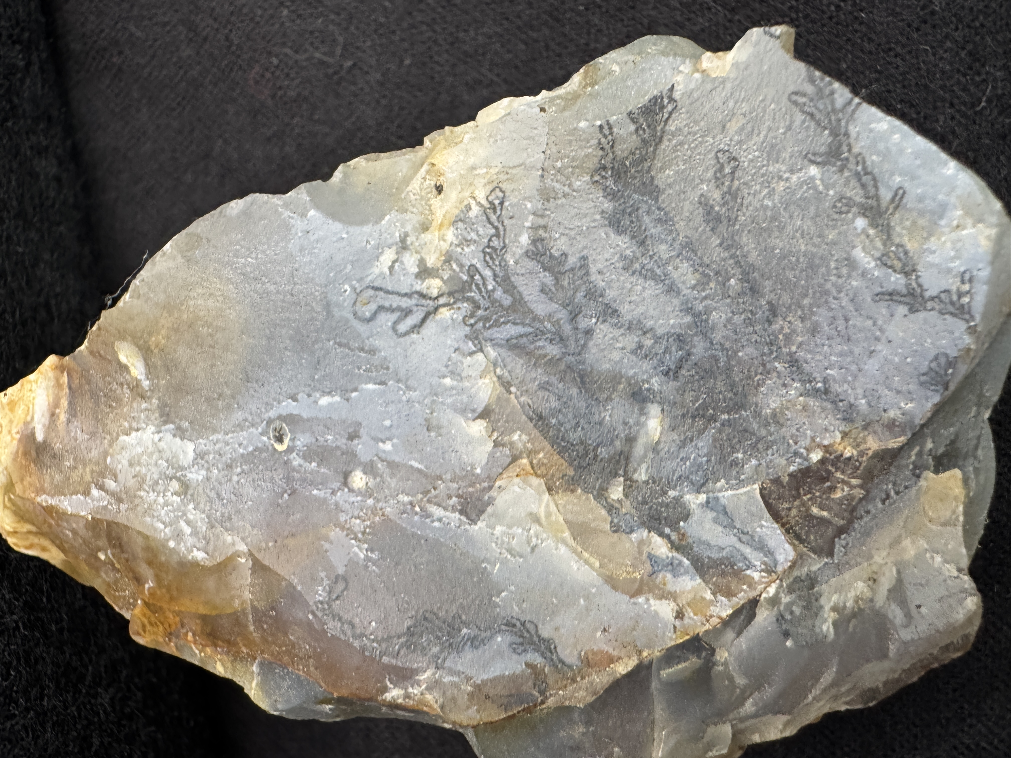 Dendritic Agate Specimen