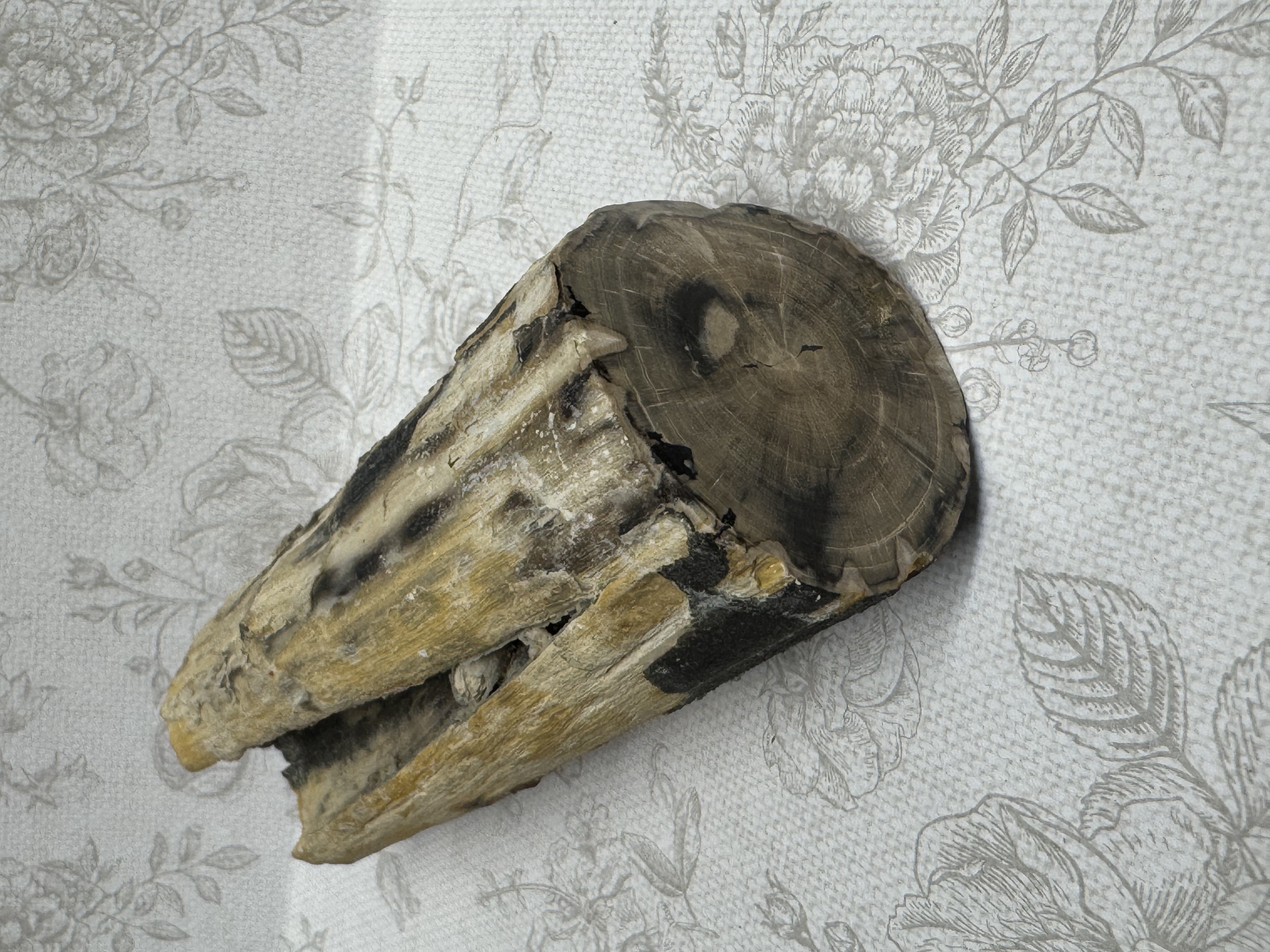 Raw Uncut Rough Mineral Specimens