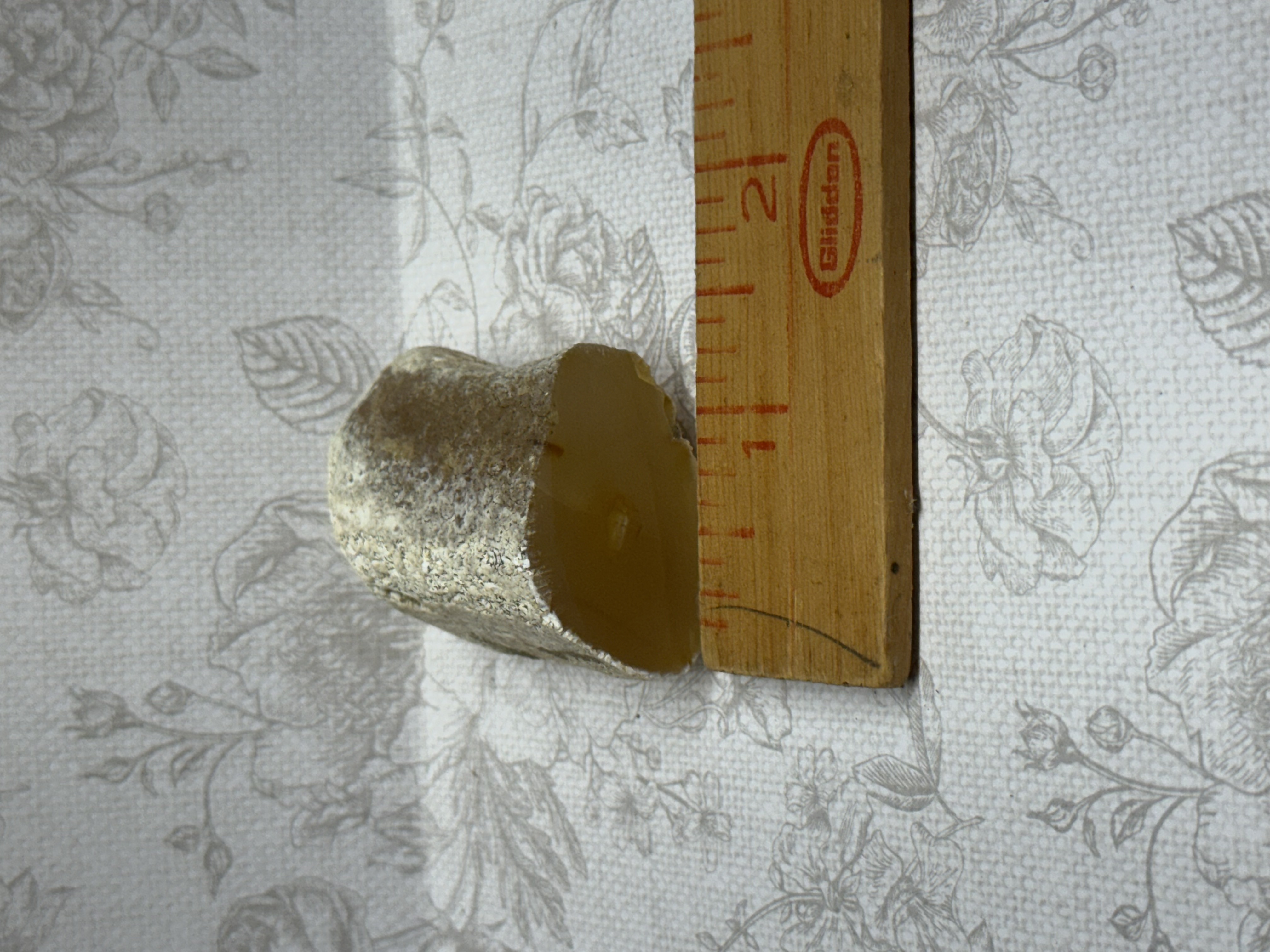Agatized limb cast angle 3