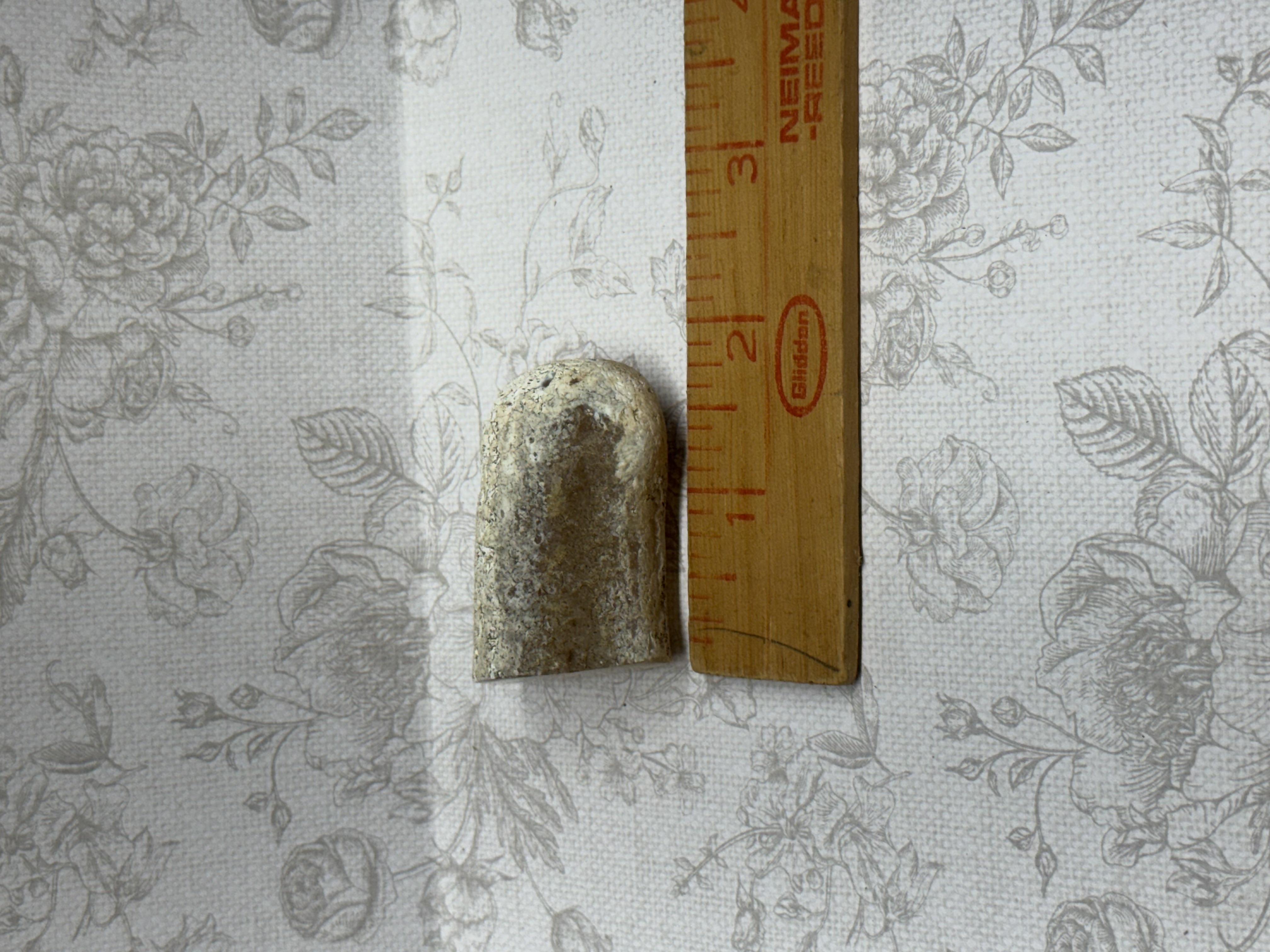 Agatized limb cast angle 4