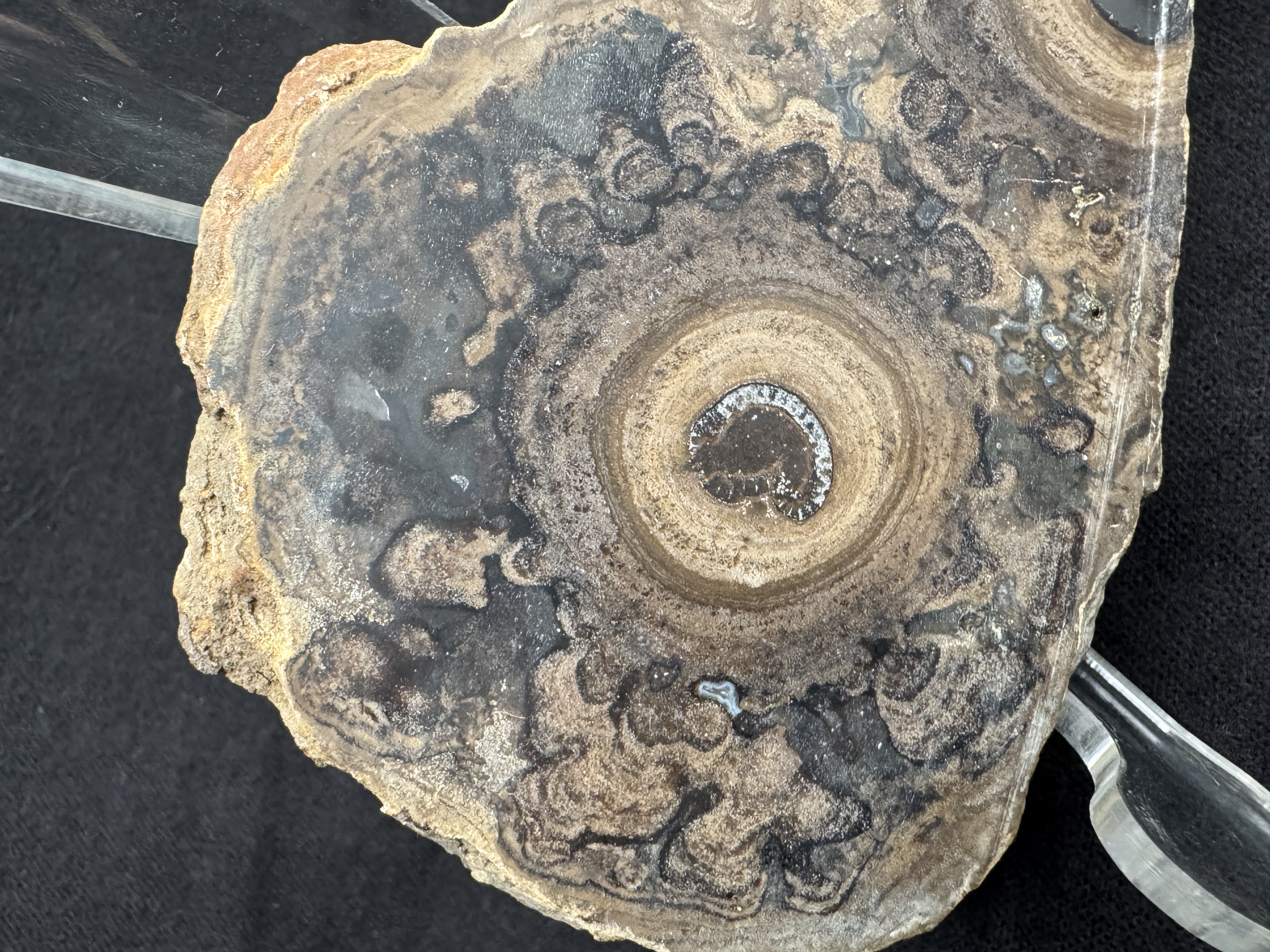 Gemstone slab item 6 view 4